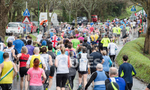 Easter Friday Run_2018-23