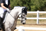 SBM_002563