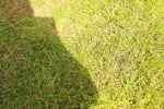 SBM_02843