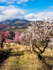 Andalucia 3 -33