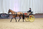 SBM_001061