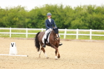 SBM_004982
