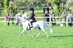 S22 - First Ridden show and show Hunter Pony portfolio