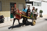 Gypsy Transport