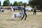 WJ6_7061