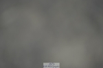 230909-171930-07219