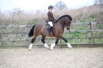SBM_006365