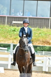 Sunday 2nd - British Dressage Classes portfolio