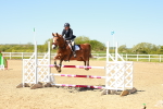 SBM_000994