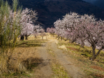 Andalucia 3 -104