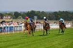 140726-Race 3-Pendella-0351