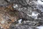 Fossil 5397