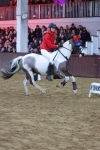 SBM_003896