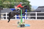 BPP_5992
