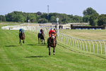080726-Race 5-Sugarpiehoneybunch-7530