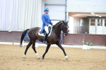 SBM_005927