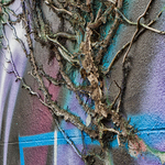 Brighton graffiti portfolio