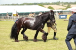 SBM_07170