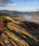 Panorama walk, Mawddach Estuary
