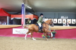 SBM_06378