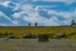 DSCF8849
