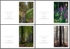 4 Seasons Portrait No.3