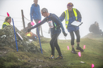 Wansfell-584