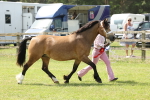 SBM_02435