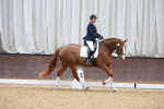 SBM_001356
