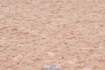 240505A-124714-05838