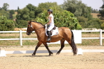 SBM_004005