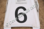 D8F_4273
