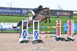 Snr Foxhunter 1.20m & 1.30m portfolio