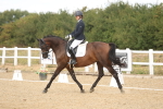 SBM_009715