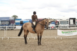 SBM_16667