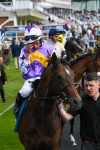 270523-Race 6-Quantum Impact-0853