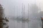 Misty Harbour Reflections