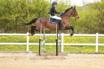 SBM_005856