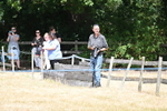 WJ6_5359