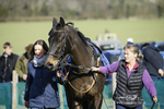 Kingston Blount Racing Club Point-to-Point 26/02/22 portfolio