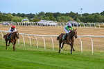 040826-Race 5-Halimede-5432