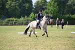WJ6_5433