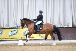 SBM_005453