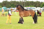 SBM_06315