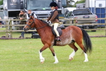 SBM_08770