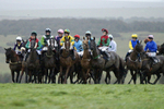 Wiltshire Life portfolio