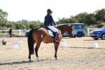 SBM_012460