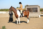 SBM_01217