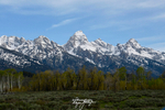 3HPhotography5-22-25_GTNP_1410_