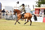SBM_14564